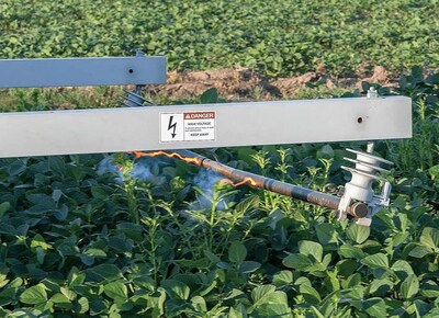 A Farmer Forum webinar on Weed Electrocution in the Field will convene on Wednesday, July 23, 2025, at 11 a.m. Eastern Time. Photo by  Claudio Rubion.