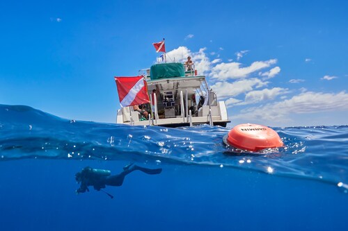 Revolutionary Descent S1 Buoy from Garmin helps strengthen diver communication and enhances peace of mind for divers and crew.