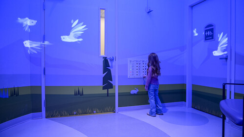 Dimensional Innovations leveraged nine Epson laser projectors to create an immersive and interactive digital bird sanctuary experience for patients receiving burn treatments at Children’s Mercy Kansas City burn clinic.