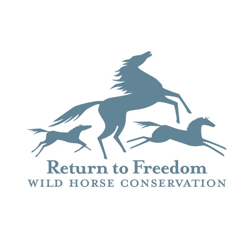 Return to Freedom: Wild horse population estimate shows futi