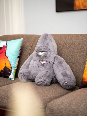 Unable to view the image, Please provide a valid URL.