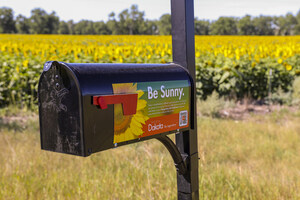 Follow the Bloom: North Dakota's 2025 Sunflower Map is Here