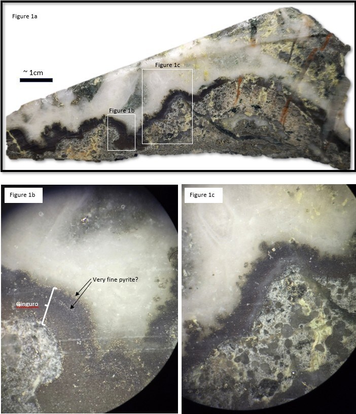 Figure 1a. Photo of well developed ginguro band along contact of crustiform-colliform quartz vein with insets (Figures 1b and 1c) showing compositional layering within the ginguro band consisting of what appears to be pyrite rich layers and layers dominated by a metallic, blackish-purple mineral. (CNW Group/Northern Shield Resources Inc.)