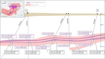 Figure 10: Simplified cross-section of the Vega Caesium Zone geological model at the CV13 Pegmatite. (CNW Group/Patriot Battery Metals Inc.) Figure 10: Simplified cross-section of the Vega Caesium Zone geological model at the CV13 Pegmatite. (CNW Group/Patriot Battery Metals Inc.)