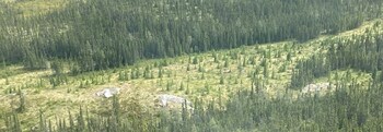 Figure 16: Spodumene pegmatite outcrop at CV13 (looking southerly). (CNW Group/Patriot Battery Metals Inc.) Figure 16: Spodumene pegmatite outcrop at CV13 (looking southerly). (CNW Group/Patriot Battery Metals Inc.)