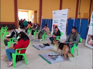 ¿Dónde esterilizar a tu perro o gato gratis en julio y agosto en CDMX y Edomex? Conoce las campañas de la Fundación Antonio Haghenbeck