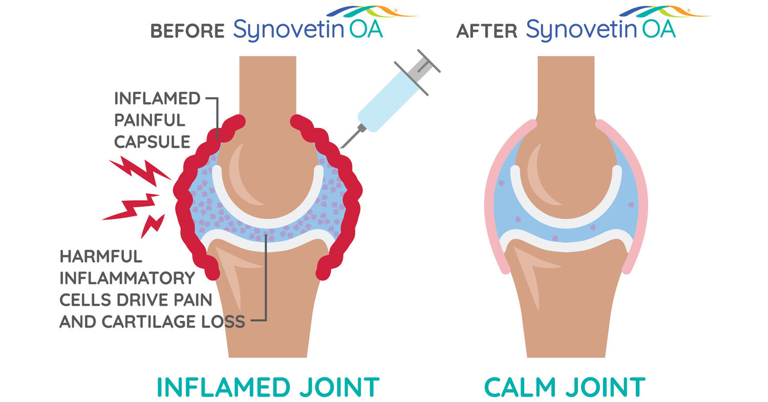 Newly Published Research Shows Groundbreaking Joint Treatment Changes the Course of Dog Arthritis Management