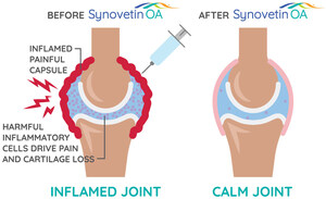 Newly Published Research Shows Groundbreaking Joint Treatment Changes the Course of Dog Arthritis Management