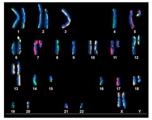 KROMATID Works With Consortium to Empower Cancer Genomics with Industry-Leading Sequencing Standards