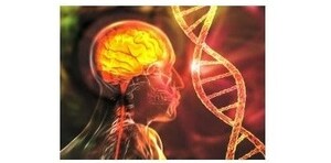 Klotho Neurosciences, Inc. Partners with AAVnerGene Inc. to Make Klotho's Gene Therapy Assets