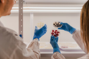 Novella and Metaphor Foods Unite to Commercialize Cell-Based Natural Preservatives