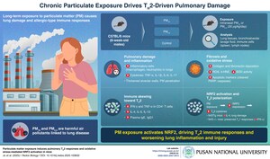 Pusan National University Researchers Investigate How Air Pollution Triggers Immune Imbalance and Lung Damage
