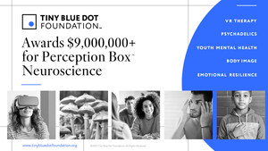 Tiny Blue Dot Foundation Awards $9M for Perception Box Neuroscience Exploring Youth Mental Health, Psychedelics, VR Therapy, Body Image, and Emotional Resilience