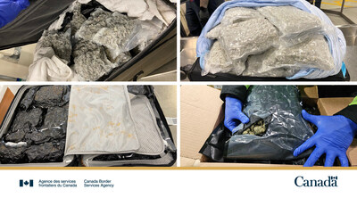 Les agents et agentes de l'ASFC à l'aéroport international de Calgary et aux opérations commerciales saisissent 160 kg de cannabis, d'une valeur de plus de 1,2 million de dollars, en un an