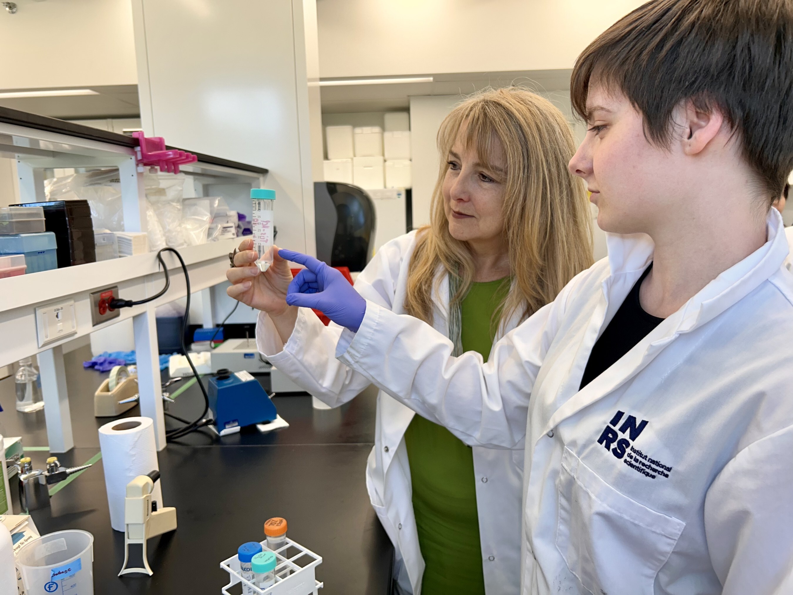 Unable to view the image, Please provide a valid URL.