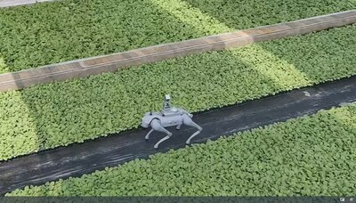 Go2 is capturing the growth data of seedlings