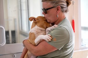 Store to Shelter: Pet Supplies Plus Provides Emergency Relief for Texas Pets Amid Recent Floods