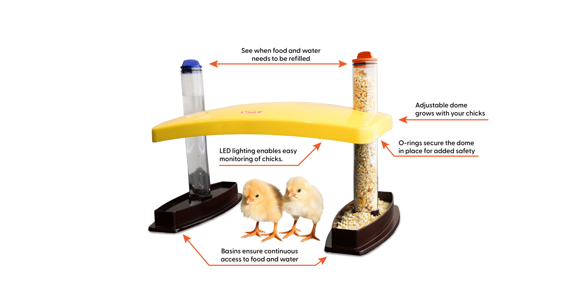 Cozy Chickens Unveils the Brooder Habitat: Comfort, Safety, and Convenience for Raising Happy, Healthy Chicks