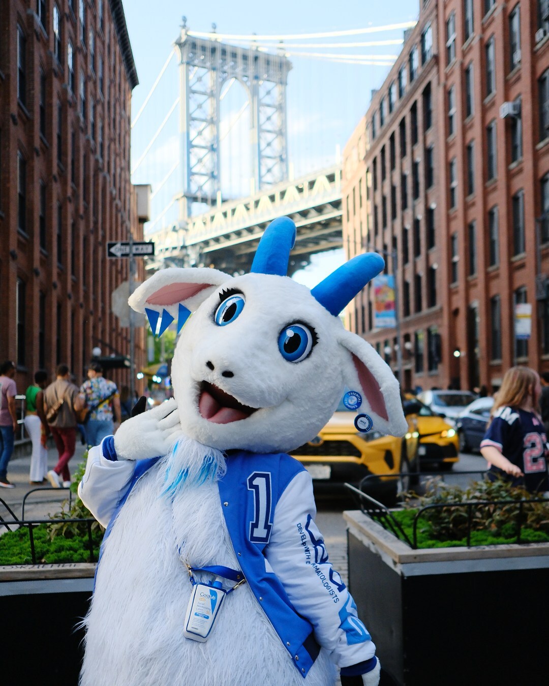 Unable to view the image, Please provide a valid URL.