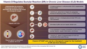 Chungnam National University Researchers Reveal How Vitamin D is Shown to Reduce Liver Damage by Boosting TXNIP Activity in Cholangiocytes