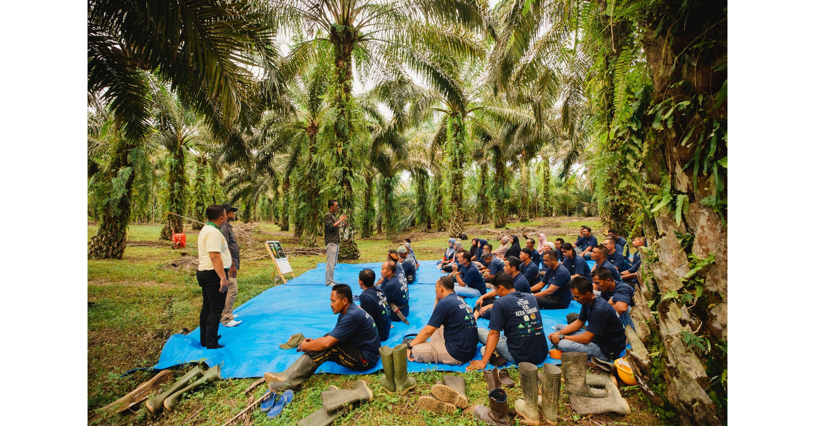 Musim Mas, Nestl&eacute; et AAK renouvellent leur partenariat pour r&eacute;pondre aux pr&eacute;occupations environnementales, sociales et &eacute;conomiques