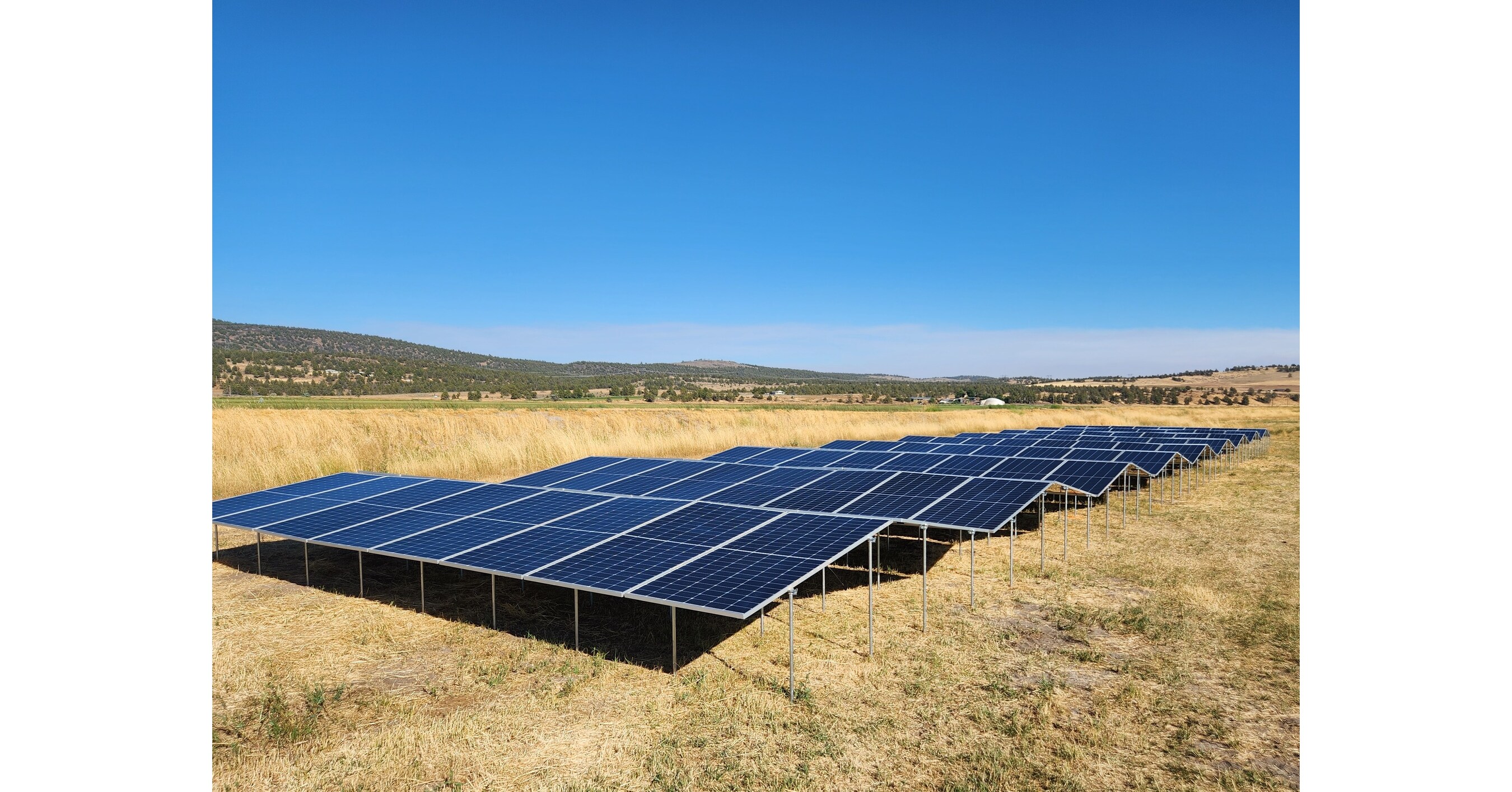 Planted Solar Secures $12M to Accelerate Solar Deployment