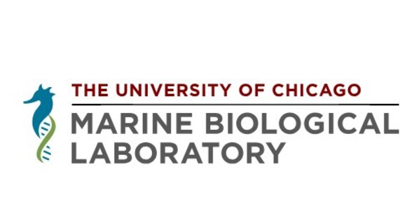 Marine Biological Laboratory Establishes Robert Jeffrey Zimmer Chair for Financial Leadership