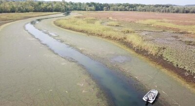Controlling invasive species was a major topic at the recent Aquatic Plant Management Society annual meeting; Invasive species, like northern hydrilla, can form dense canopies on waterways, as shown along this stretch of a Connecticut river. Photo by the Connecticut Agricultural Experiment Station, 2020. Controlling invasive species was a major topic at the recent Aquatic Plant Management Society annual meeting; Invasive species, like northern hydrilla, can form dense canopies on waterways, as shown along this stretch of a Connecticut river. Photo by the Connecticut Agricultural Experiment Station, 2020.