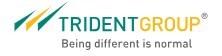 Trident Group Logo