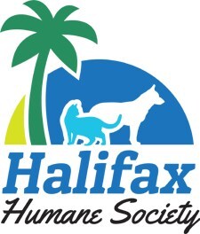 Halifax Humane Society Kicks Off National "Clear the Shelters" Campaign with Second Shot Photos by Viral Pet Photographer Sensation Adam Goldberg