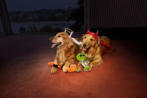 PetSmart's Exclusive Thrills & Chills Halloween Collection is Haunting Shelves Now