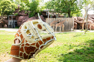 Rawlings® and the Saint Louis Zoo Team Up for New Glove Collaboration