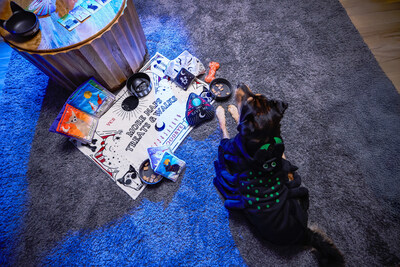 Petco Unleashes Scary Good Fun with 400+ Exclusive Halloween and Fall Finds for Pets