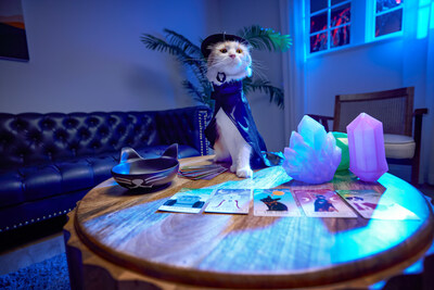 Petco Unleashes Scary Good Fun with 400+ Exclusive Halloween and Fall Finds for Pets