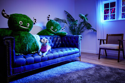 Petco Unleashes Scary Good Fun with 400+ Exclusive Halloween and Fall Finds for Pets