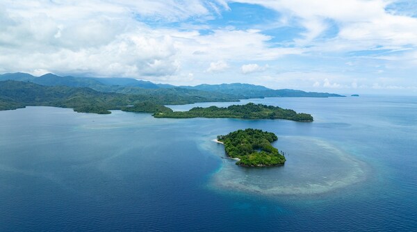 Unable to view the image, Please provide a valid URL.