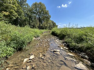 Bumpus Mills Mitigation Bank Receives Agency Approval