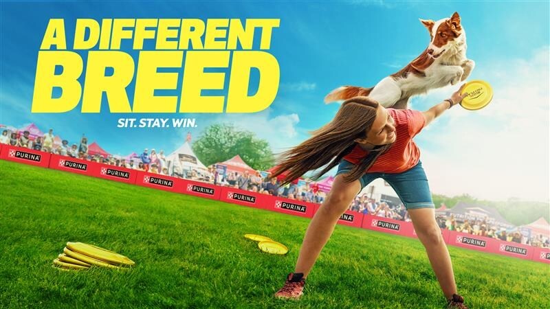 New Documentary Series Coming to Prime Video Showcases Amazing Competitors of Canine Performance Sports