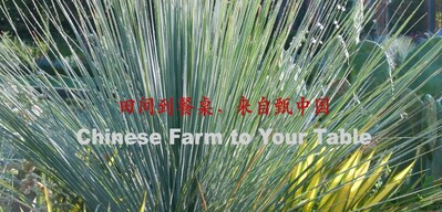 Viewing China from Afar: Chinese Farm to Your Table1