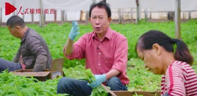 Viewing China from Afar: Chinese Farm to Your Table