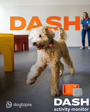 Dogtopia Partners with Pet Tech Experts PitPat to Launch DASH Activity Monitor