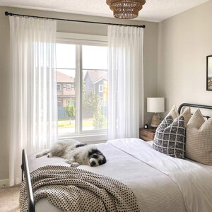 Curtarra Unveils Tom Durable Scratch Resistant Sheer Curtains, a Revolutionary Solution for Pet-Friendly Homes