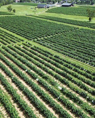 A bird's-eye view of Wholesale Hemp Farms with iconic black barn in the distance, showcasing Edify's commitment to premium transparent sourcing.