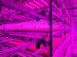 Indoor Farming Leaders Unite to Build a National Powerhouse