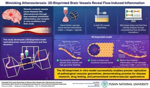 Pusan National University Unveils 3D-Printed Brain Vessels to Transform Atherosclerosis Research