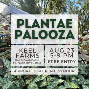 The Dream Saturday Night for Tampa Bay Green Thumbs, "Plantae Palooza" Returns to Keel Farms August 23, 2025