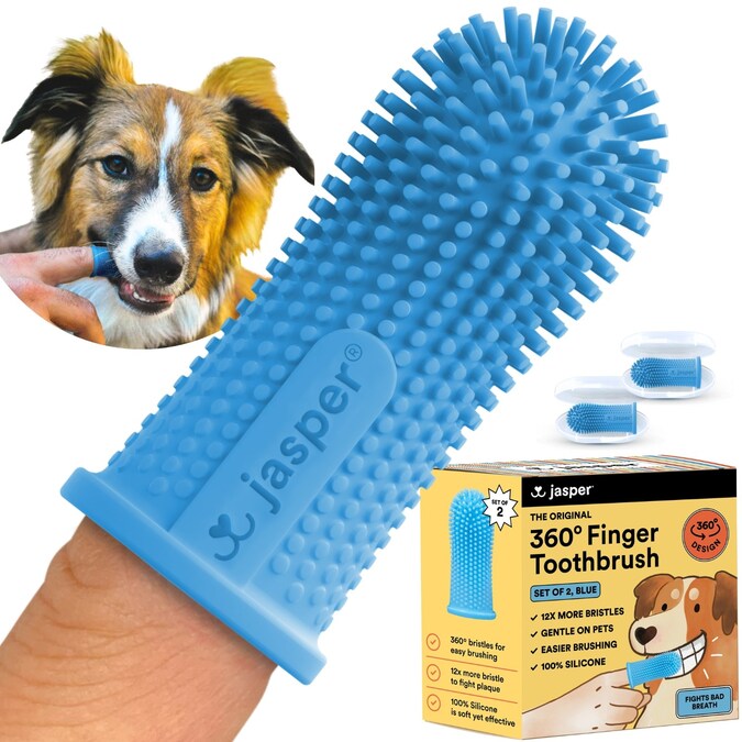 Teeth For Dogs Dog Rubber Chew Toothbrush Save Big On Bulk Dog Toy