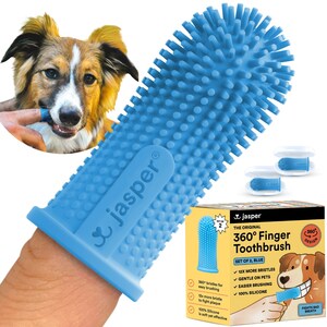 Jasper® 360º Dog Toothbrush Achieves Best Seller Status on Amazon