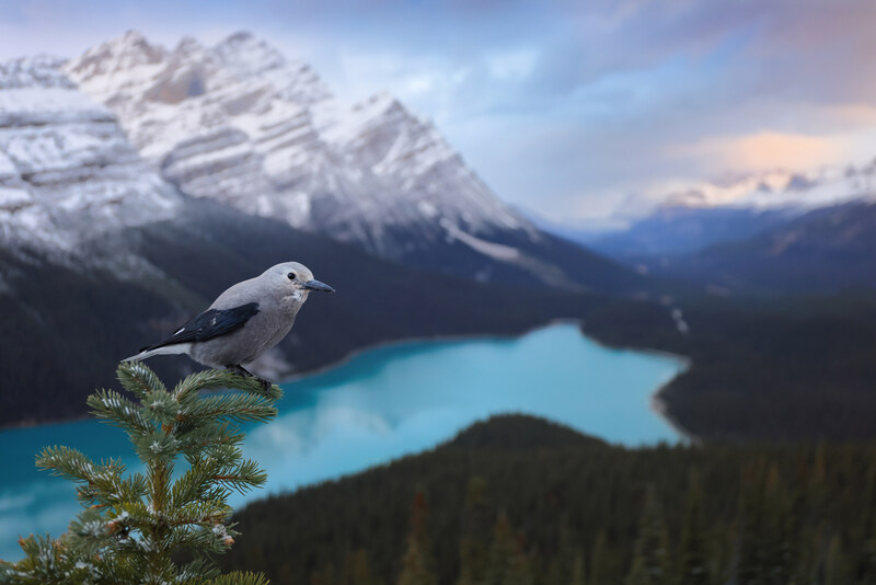 Unable to view the image, Please provide a valid URL.