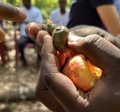 The Cashew Project is a first-of-its-kind multi-year program designed to support cashew farming communities in Côte d'Ivoire.